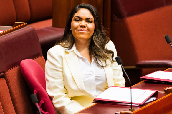 Northern Territory Country Liberal senator Jacinta Nampijinpa Price has revealed she is a survivor of domestic violence.