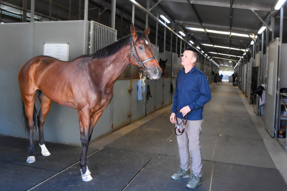 Joe Pride eye to eye with Everest winner Think About It at his Warwick Farm stables.