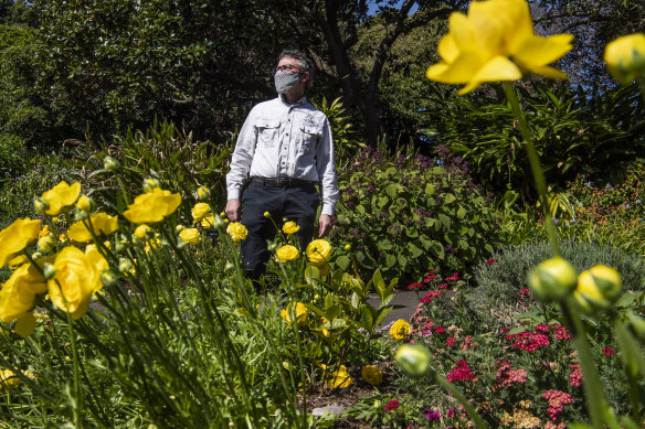 Spring has sprung:  To mark the first day of spring, the Royal Botanic Garden’s annual display on the spring walk buzzed with bees and insects, and its manager curator David Laughlin. 