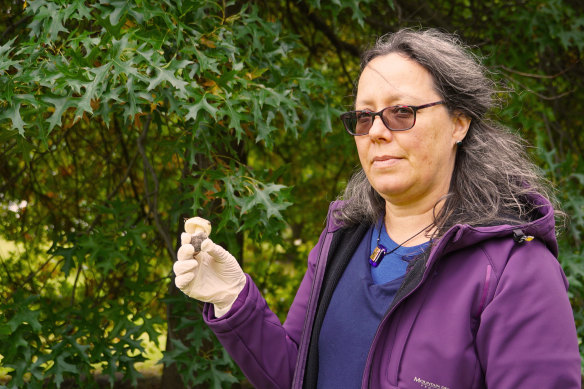 Senior mycologist Teresa Lebel with the offending fungus.