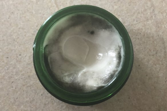 Mould grown in a pot of natural moisturiser by one anonymous colleague.