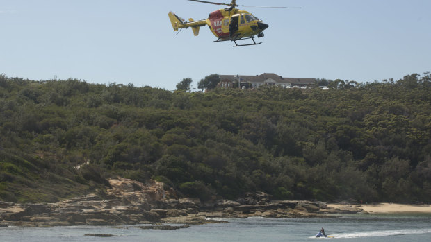Helicopters swept the beaches looking for any evidence of the shark.