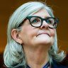 New Governor-General Sam Mostyn is casting an eye over the standard of public debate.