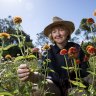 Not just a pretty place: What garden exhibitions really teach us