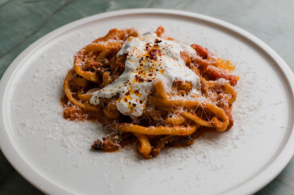 Bucatini amatriciana with stracciatella.