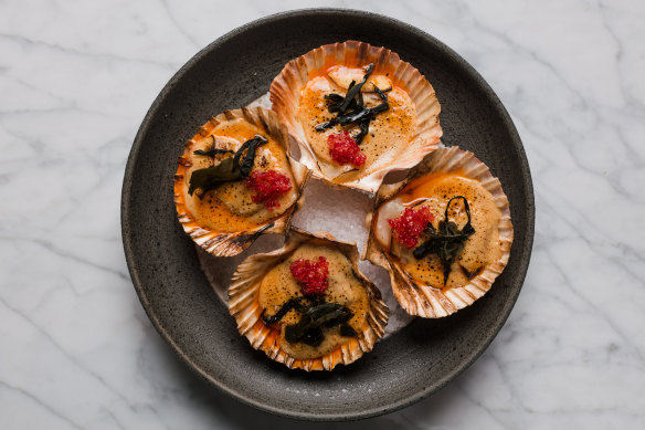 Flinders Island scallop with brown butter and finger lime.