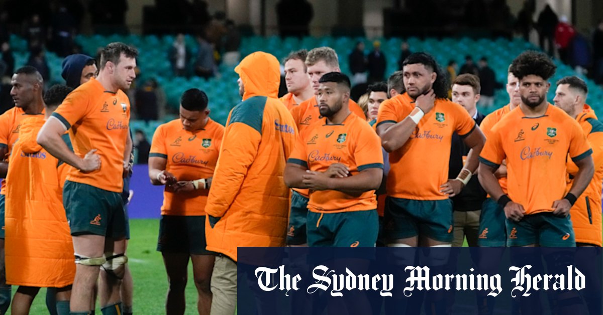 Wallabies player ratings, rugby player ratings, Wallabies v England LIVE updates: Scores, time, odds, how to watch, - Vimarsana News