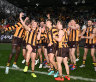 How the young Hawks gave a masterclass in redemption