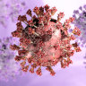A virus is both a dead collection of complex chemicals, and an incipient, bottled genie.