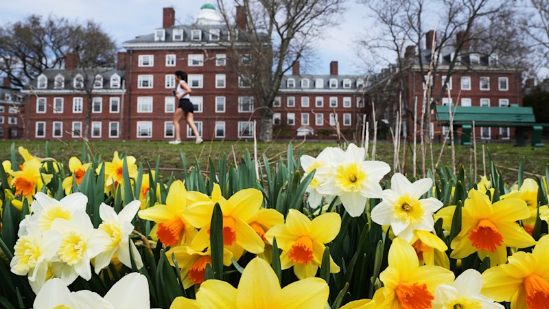 ‘Distressing for Australian students’: Trump blocks Harvard’s international enrolments