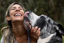 If you can’t turn say no to a kiss from your dog, experts say there are ways to make it safer.
