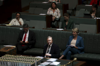 Opposition Leader Anthony Albanese is putting Labor into an election footing for the new year.