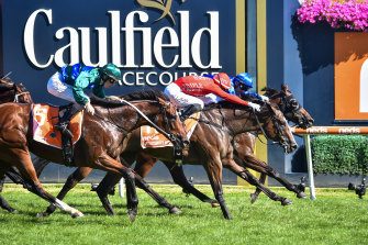 Daumier, ridden by Mark Zahra, edges out his rivals in Saturday’s Blue Diamond Stakes at Caulfield.