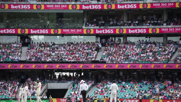 A sea of pink greets players on day three of the Sydney Test, which honours the legacy of Jane McGrath.