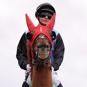 Jamie Melham aboard Half Yours at Flemington.