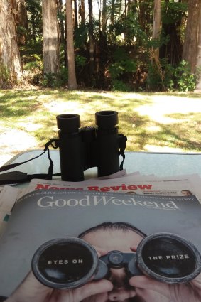 My eye on the prize is: viewing local birdlife while reading "Good Weekend" at camp.  