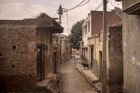 Dogs roam in a deserted lane in the village of Basi, Uttar Pradesh, where many fear leaving their homes and becoming infected. 