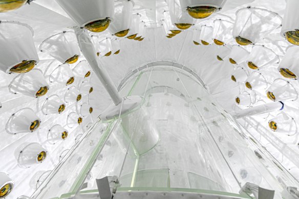 Looking up into the LZ outer detector, used to veto radioactivity that can mimic a dark matter signal.