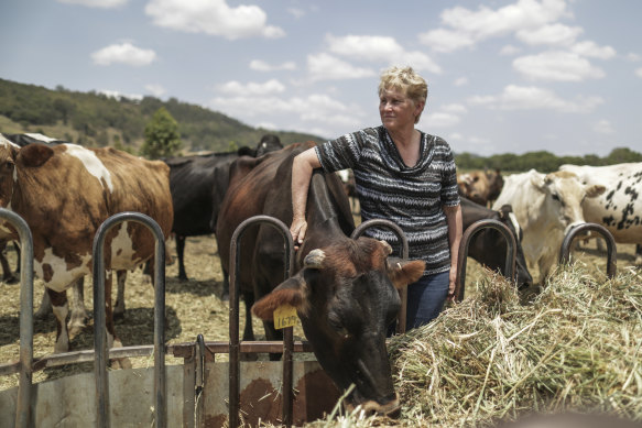 'You try and stay positive': Goolmangar dairy farmer Leigh Shearman.