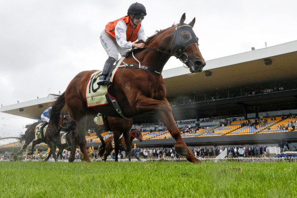 Joint Villiers favourite Ellsberg takes out the Festival Stakes at Rosehill last month