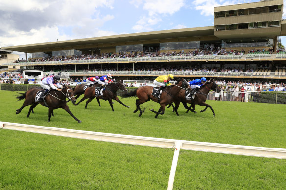 Warwick Farm is set to host Left Reeling’s first metropolitan win.