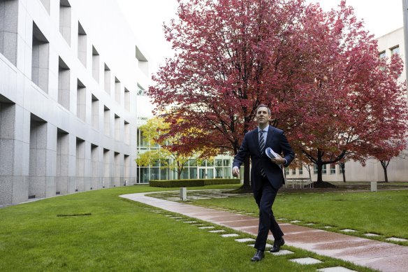 Treasurer Jim Chalmers with the budget tree at Parliament House.