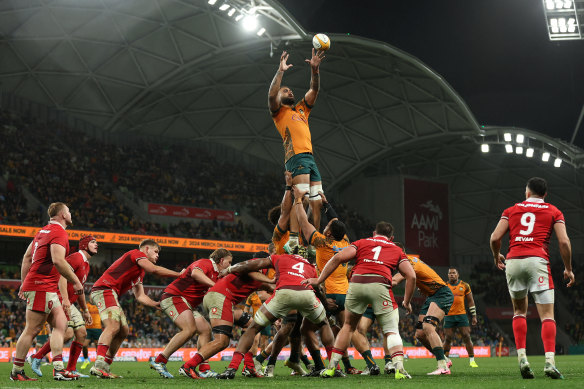 Lukhan Salakaia-Loto wins a lineout for the Wallabies against Wales in July.