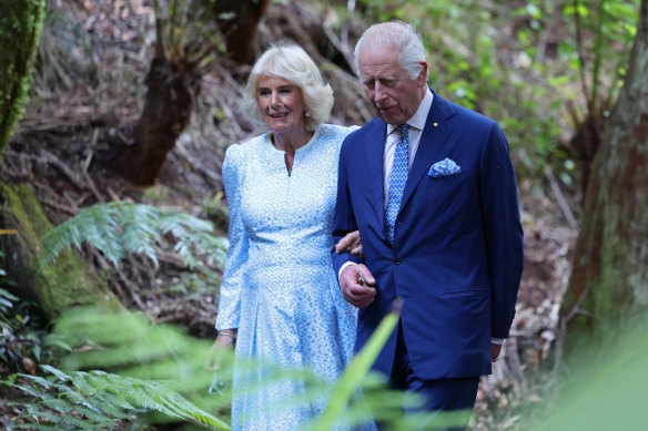 Queen Camilla and King Charles in the rainforest at the Australian Botanic Gardens. 