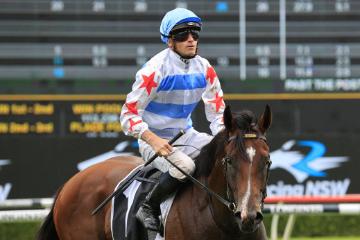 Michael Freedman thinks Stay Inside is heading iin the right direction for the Golden Slipper.