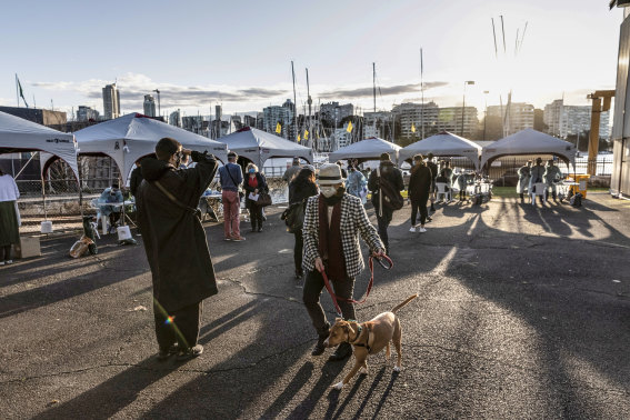 A pop-up COVID-19 testing clinic at Rushcutters Bay.