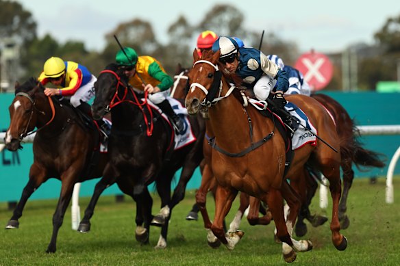 Changing Colours (right) wins in style at Rosehill in June. She could have won fresh at Rosehill, and this is much more to her liking.