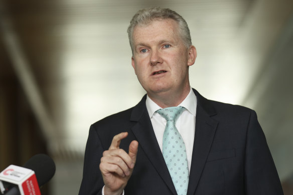 Arts Minister Tony Burke says Australia's cultural institutions are in a desolate state.