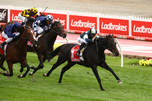 Glen Boss steers Sir Dragonet to victory in the Cox Plate on Saturday.