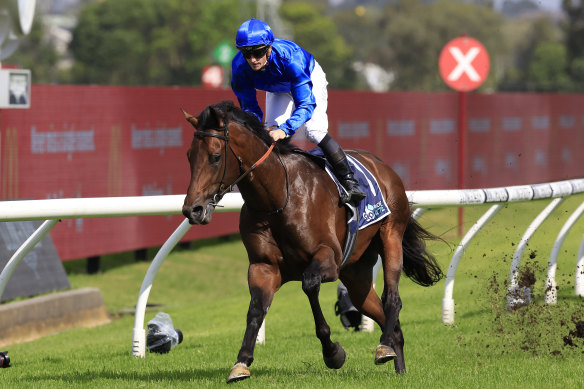 Anamoe  became Queen Elizabeth Stakes favourite with victory in the Rosehill Guineas on Saturday 