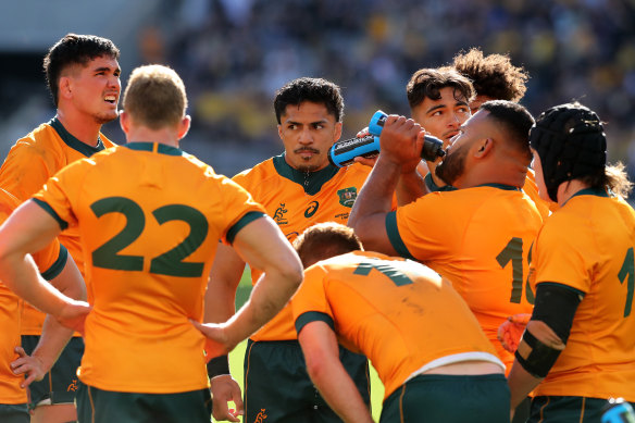 The Wallabies were yet again taught a lesson by their fiercest rivals.