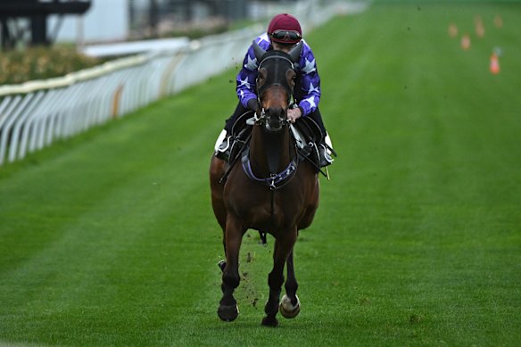 James McDonald puts Cox Plate favourite Aeliana through her paces at Flemington on Tuesday morning.