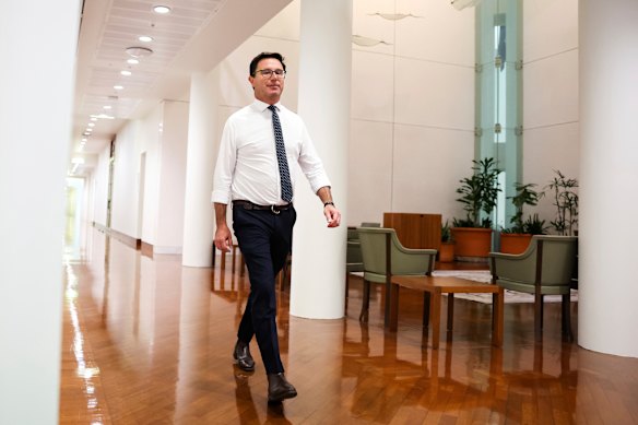 Nationals leader David Littleproud last week, before the Coalition collapse.