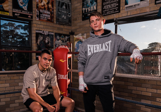 Tim and Nikita Tszyu have reignited their rivalry with the Horn family.