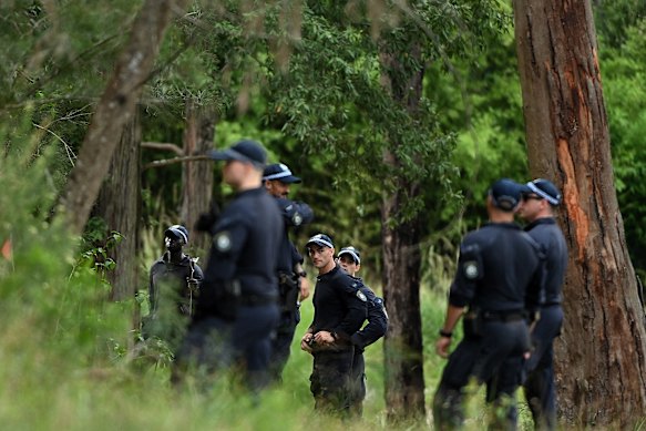 Police search bushland at Glenorie for Baghsarian.