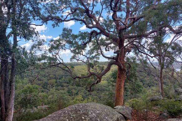There’s more to it than McDonald’s… Engadine is surrounded by bush gullies and rocky outcrops. 