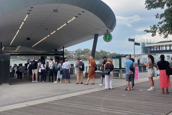 A long queue for the Paramatta River ferry from Barangaroo.