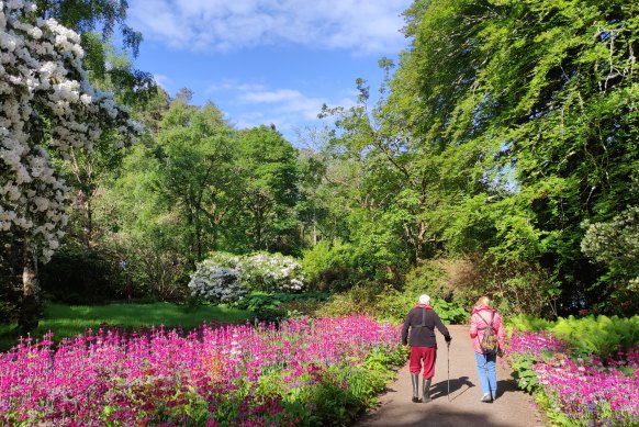 The “Impossible Garden” that was planted in the 1860s.