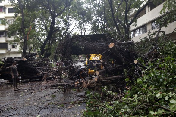 Trees were uprooted in Mumbai after cyclone Nisarga made landfall.