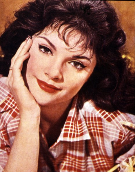 Top 10 singer became screen and stage actor