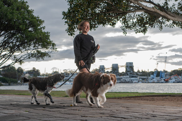 This could get ruff Dog walkers face 550 fee in council crackdown