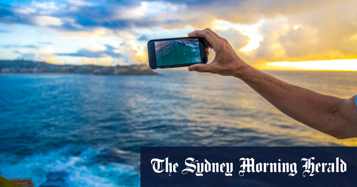 Jason Iggleden drone mission to name Bondi Beach sharks - Vimarsana News