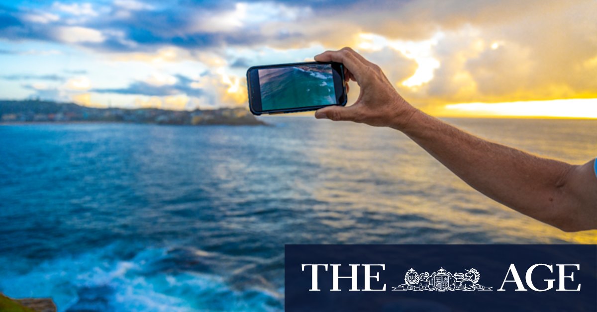 Jason Iggleden drone mission to name Bondi Beach sharks - Vimarsana News