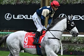 Saint George is out of the Melbourne Cup after failing a mandatory pre-race scan.