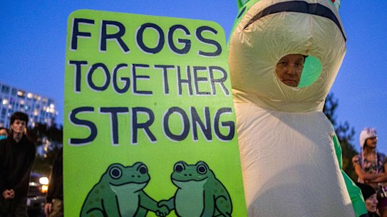 A demonstrator wearing a frog costume stands outside a U.S. Immigration and Customs Enforcement facility on Tuesday.