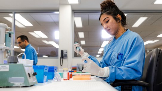 Scientists across Australia face losing their jobs just after Christmas after missing out on ‘last chance’ government funding as the sector faces a COVID cash-crunch.